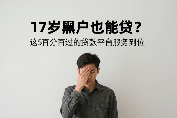17岁黑户也能贷？这5个百分百过的贷款平台服务到位，5000借款要求不高