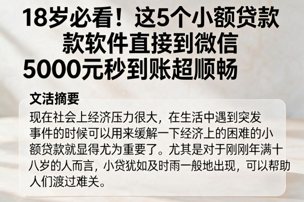 18岁必看！这5个小额贷款软件直接到微信，5000元秒到账超顺畅