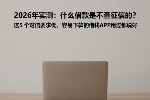 2026年实测：什么借款是不查征信的？这5个对征信要求低、容易下款的借钱APP用过都说好