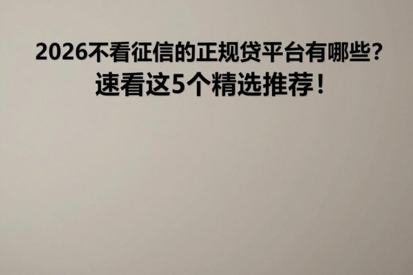 2026不看征信的正规借贷平台有哪些?速看这5个精选推荐!