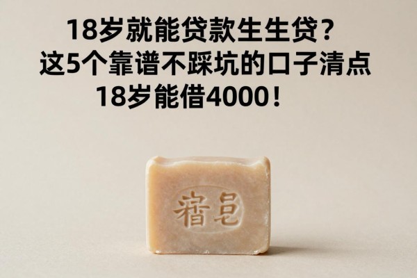 18岁就能贷款学生贷？这5个靠谱不踩坑的口子清点，18岁能借4000！