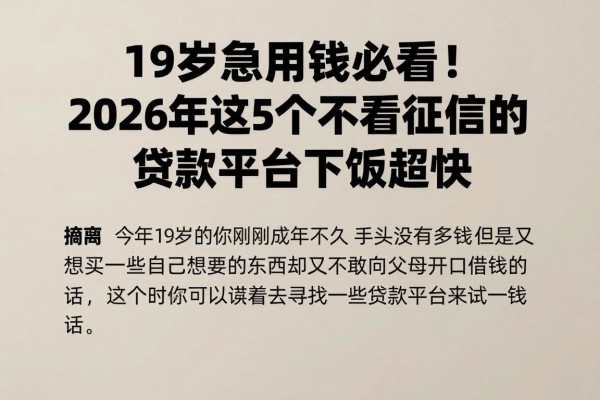 19岁急用钱必看!2026年这5个不看征信的贷款平台下款超快