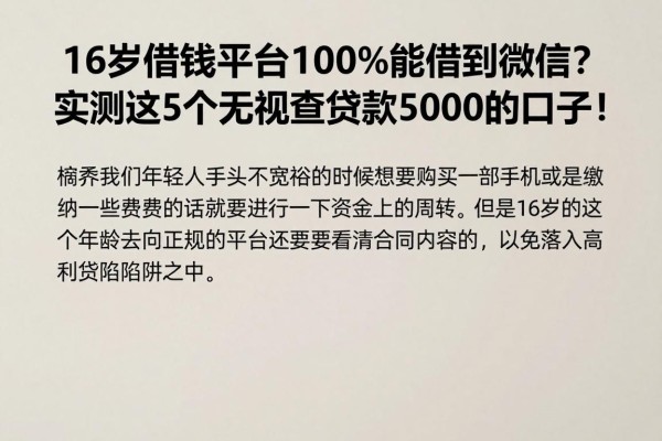 16岁借钱平台100%能借到微信?实测这5个无视查贷款5000的口子!