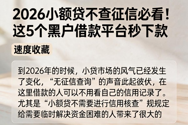 2026小额贷不查征信必看!这5个黑户借款平台秒下款,速度收藏