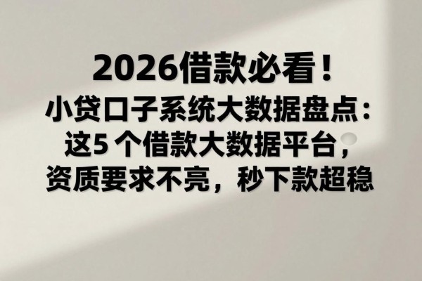 2026借款必看！小贷口子系统大数据盘点：这5个借款大数据平台资质要求不高，秒下款超稳
