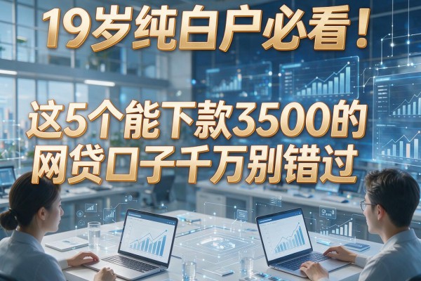 19岁纯白户必看！这5个能下款3500的网贷口子千万别错过