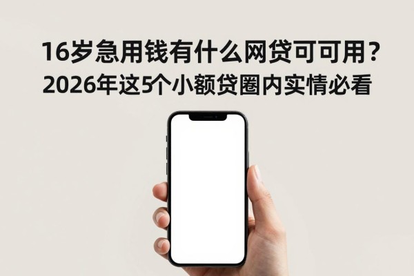 16岁急用钱有什么网贷可以用?2026年这5个小额贷圈内实情必看