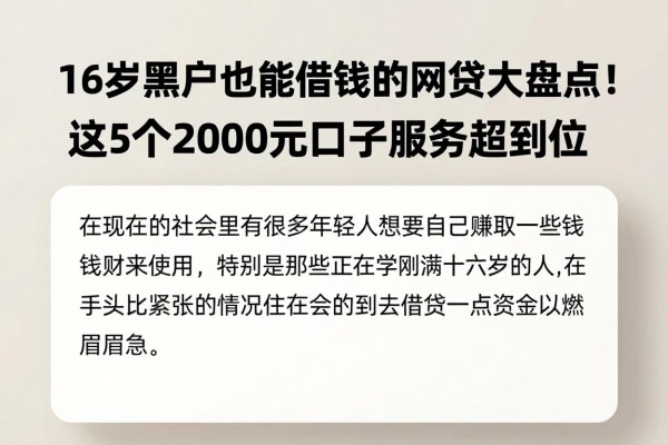 16岁黑户也能借钱的网贷大盘点!这5个2000元口子服务超到位