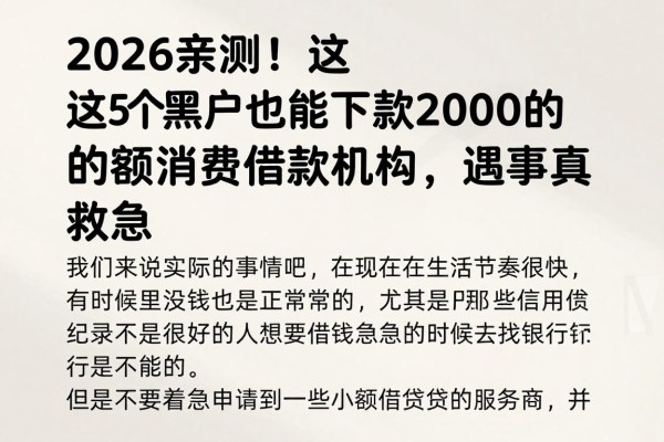 2026亲测!这5个黑户也能下款2000的小额消费借款机构,遇事真能救急