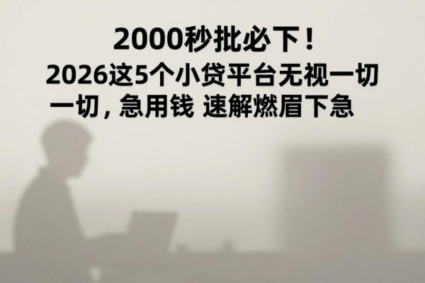 2000秒批必下!2026这5个小贷平台无视一切,急用钱速解燃眉之急