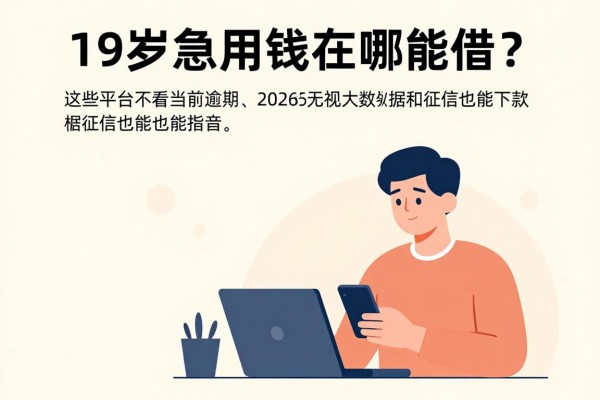 19岁急用钱在哪能借?这些平台不看当前逾期、2026无视大数据和征信也能下款