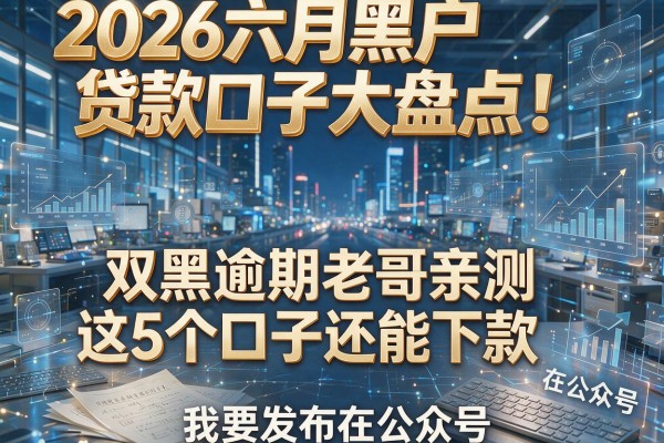 2026六月黑户贷款口子大盘点！双黑逾期老哥亲测这5个口子还能下款