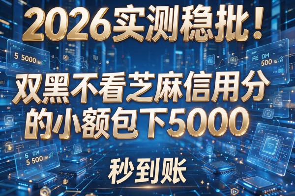 2026实测稳批!双黑不看芝麻信用分的小额包下5000,秒到账!
