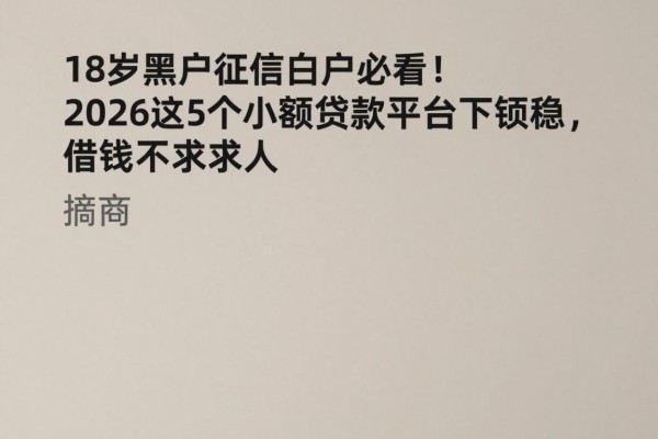 18岁黑户征信白户必看!2026这5个小额贷款平台下款稳,借钱不求人