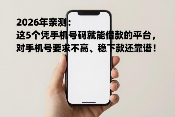 2026年亲测:这5个凭手机号码就能借款的平台,对手机号要求不高、稳下款还靠谱!