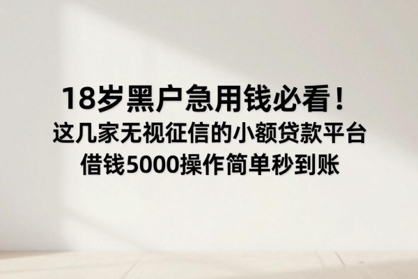 18岁黑户急用钱必看!这几家无视征信的小额贷款平台,借钱5000操作简单秒到账
