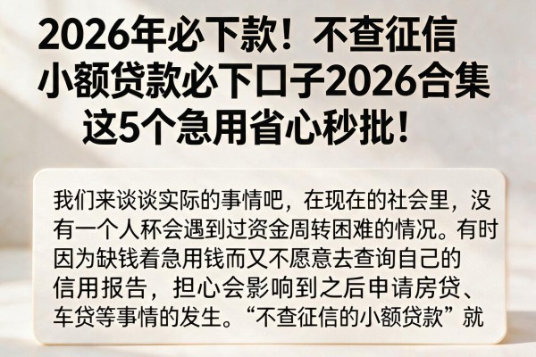 2026年必下款!不查征信小额贷款必下口子2026合集,这5个急用省心秒批!