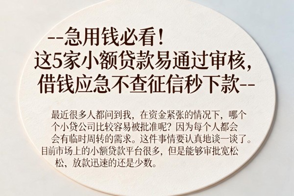 --急用钱必看！这5家小额贷款易通过审核，借钱应急不查征信秒下款--