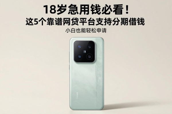 18岁急用钱必看!这5个靠谱网贷平台支持分期借钱,小白也能轻松申请