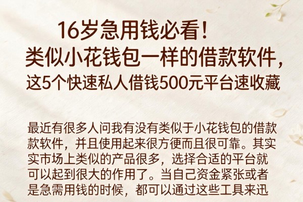 16岁急用钱必看!类似小花钱包一样的借款软件,这5个快速私人借钱500元平台速收藏