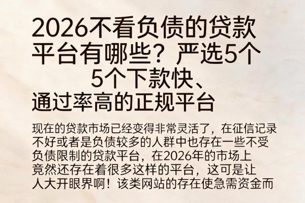 2026不看负债的贷款平台有哪些？严选5个下款快、通过率高的正规平台