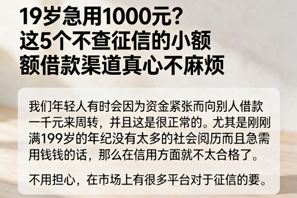 19岁急用1000元?这5个不查征信的小额借款渠道真心不麻烦
