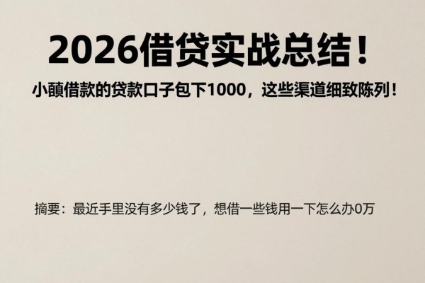 2026借贷实战总结!小额借款的贷款口子包下1000,这些渠道细致陈列!