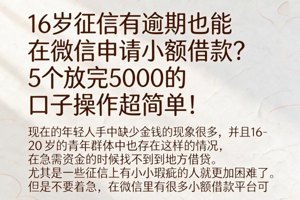 16岁征信有逾期也能在微信申请小额借款?5个放款5000的口子操作超简单!