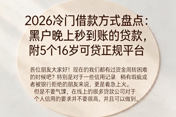 2026冷门借款方式盘点:黑户晚上秒到账的贷款,附5个16岁可贷正规平台