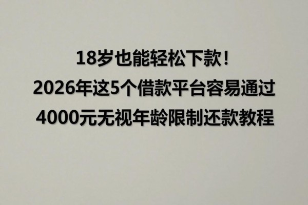 18岁也能轻松下款!2026年这5个借款平台容易通过,4000元无视年龄限制还款教程