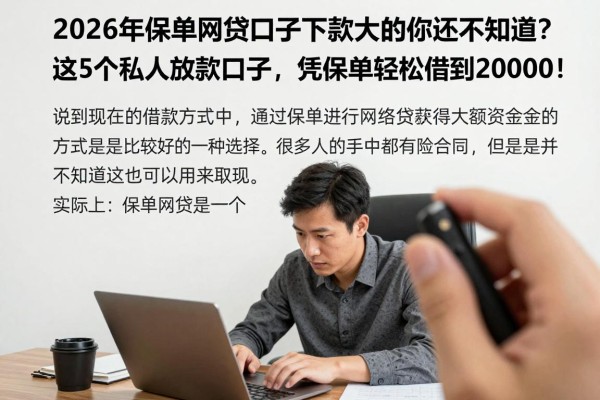 2026年保单网贷口子下款大的你还不知道？这5个私人放款口子，凭保单轻松借到20000！