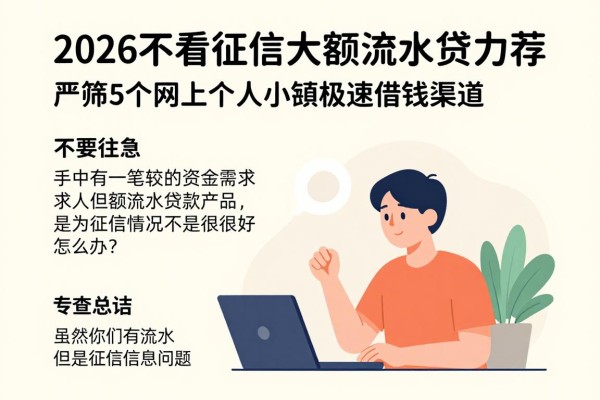 2026不看征信的大额流水贷力荐!严筛5个网上个人小额极速借钱渠道