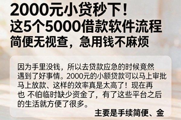 2000元小贷秒下!这5个5000借款软件流程简便无视查,急用钱不麻烦