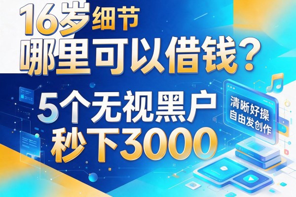 16岁哪里可以借钱?5个无视黑户秒下3000的平台步骤清晰好操作