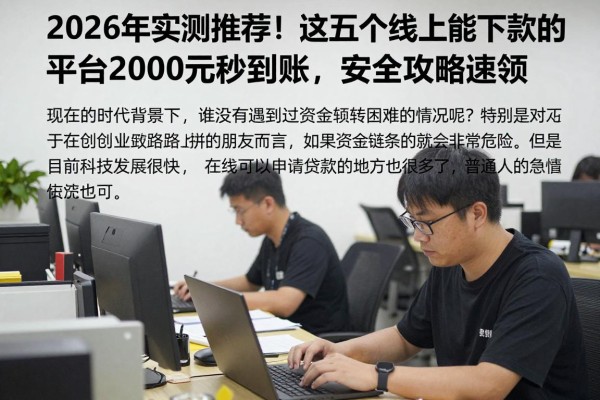 2026年实测推荐!这五个线上能下款的平台2000元秒到账,安全攻略速领