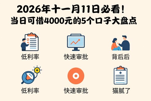 2026年十一月11日必看!当日可借4000元的5个口子大盘点