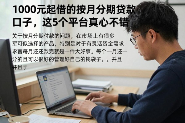 1000元起借的按月分期贷款口子盘点,这5个平台真心不错