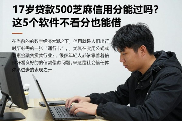 17岁贷款500芝麻信用分能过吗?这5个软件不看分也能借