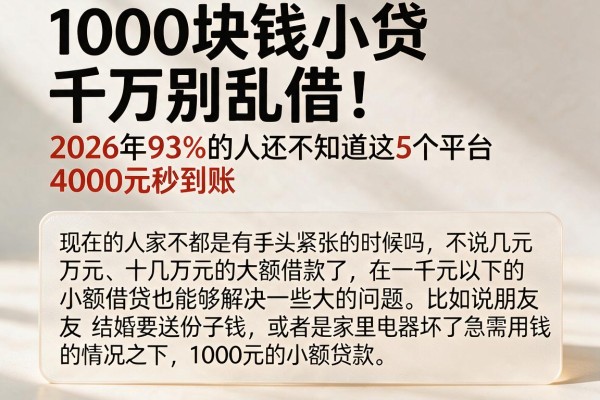 1000块钱小贷千万别乱借!2026年93%的人还不知道这5个平台,4000元秒到账
