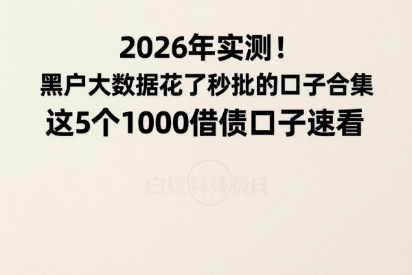2026年实测!黑户大数据花了秒批的口子合集,这5个1000借款口子速看