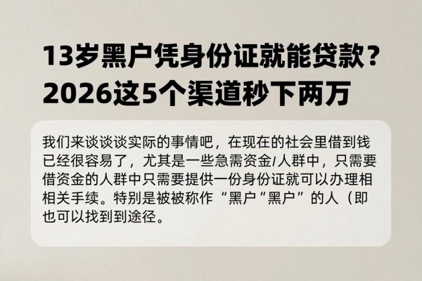 13岁黑户凭身份证就能贷款？2026最新口子曝光，这5个渠道秒下两万