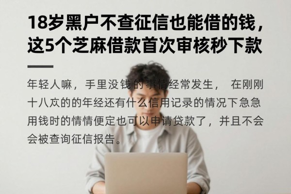 18岁黑户不查征信也能借的钱,这5个芝麻借款首次审核秒下款