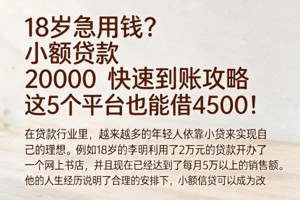 18岁急用钱？小额贷款20000快速到账攻略，这5个平台也能借4500！