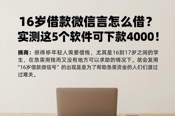 16岁借款微信号怎么借?实测这5个软件可下款4000!