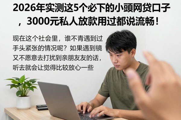 2026年实测这5个必下的小额网贷口子，3000元私人放款用过都说流畅！