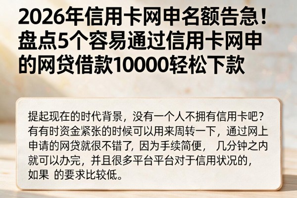 2026年信用卡网申名额告急!盘点5个容易通过信用卡网申的网贷,借款10000轻松下款