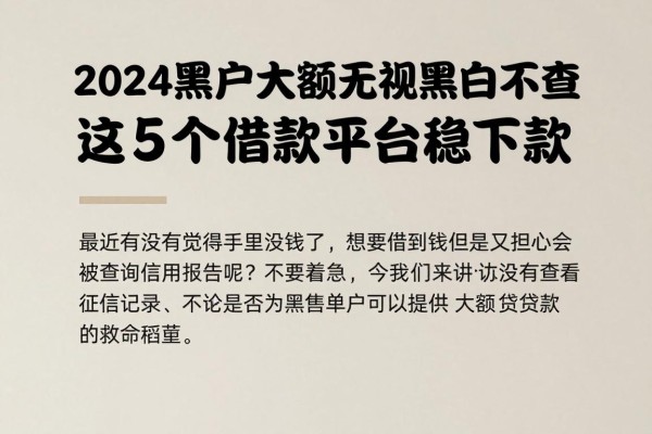 2024黑户大额无视黑白不查征信秒下款秘籍曝光!这5个借款平台稳下款