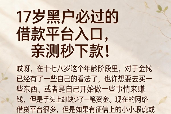 17岁黑户必过的借款平台入口，亲测秒下款！