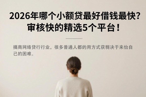 2026年哪个小额网贷最好借钱最快？审核快的精选5个平台！