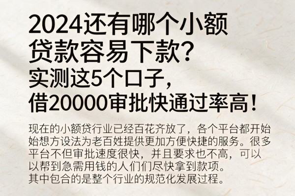 2024还有哪个小额贷款容易下款?实测这5个口子,借20000审批快通过率高!